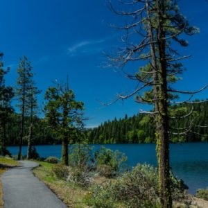 Sugar Pine Reservoir