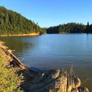 Rollins Lake has a surface area of 900 acres, with 26 miles of shoreline.